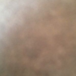 Meet your Posher, Kenny